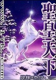 圣皇天下小说阅读