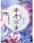 穿越之杀手公主小说阅读