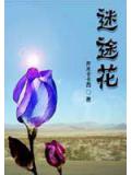 迷途花小说阅读
