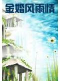 金婚风雨情小说阅读