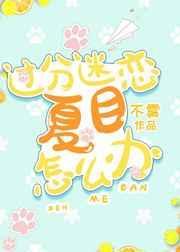 过分迷恋夏目怎么办小说阅读