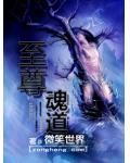 纵横法玛 作者：星星辰