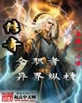 传奇全职者异界纵横小说阅读