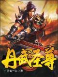 丹武圣尊小说阅读