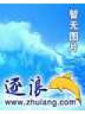 神之凝视小说阅读