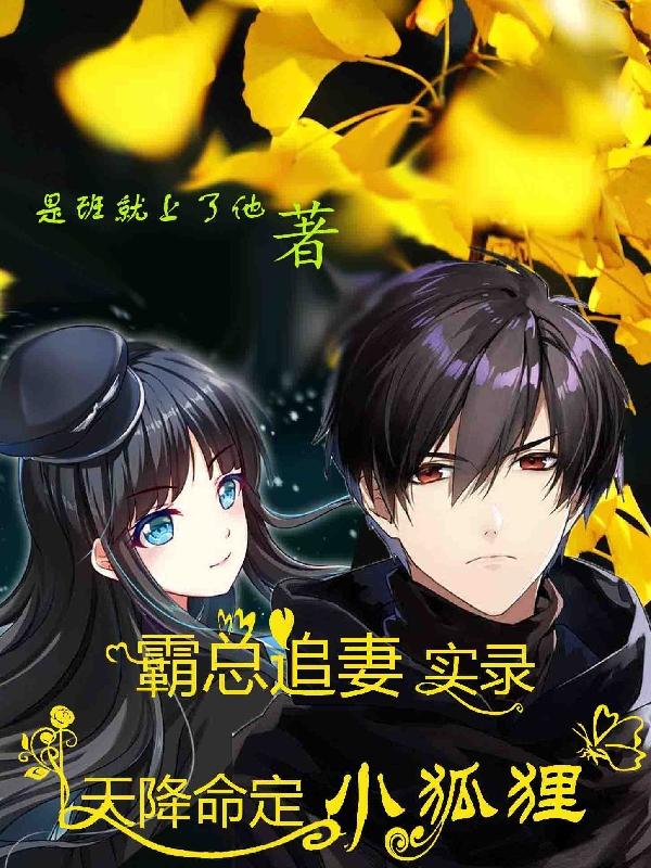 霸总追妻实录：天降命定小狐狸小说阅读