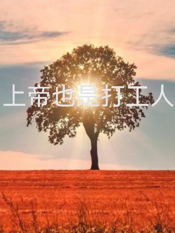 上帝也是打工人小说阅读