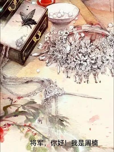 将军，你好！我是周楠小说阅读