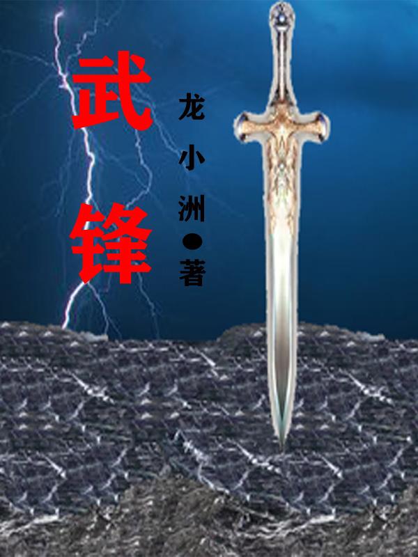 武锋小说阅读