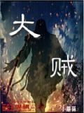 大贼小说阅读