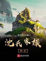 沈氏家族小说阅读