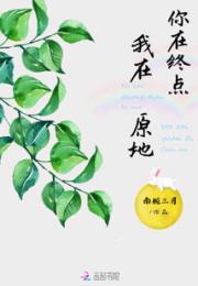 你在终点我在原地小说阅读