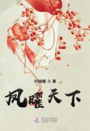 凤曜天下小说阅读