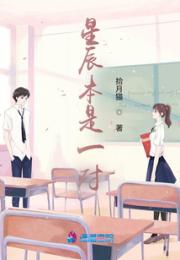 星辰本是一对小说阅读