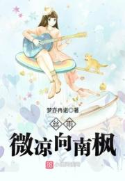 丝雨微凉向南枫小说阅读