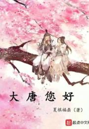 大唐您好小说阅读