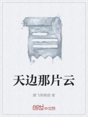 天边那片云小说阅读