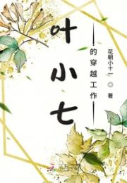 叶小七的穿越工作小说阅读