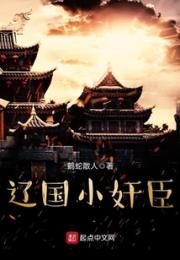 辽国小奸臣小说阅读