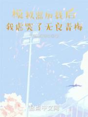 模拟器加载后，我虐哭了无良青梅小说阅读