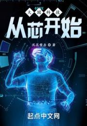 大国科技：从芯开始小说阅读