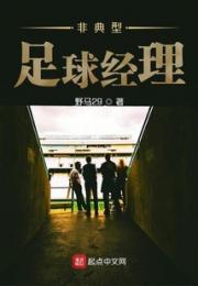非典型足球经理小说阅读