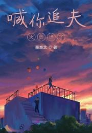 喊你追夫火葬场小说阅读