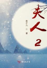夫人2小说阅读
