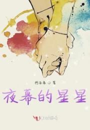 夜幕的星星小说阅读