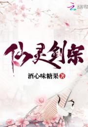 仙灵剑宗小说阅读
