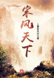 宋风天下小说阅读