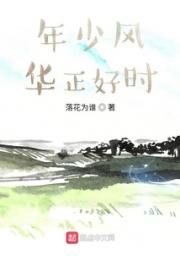 年少风华正好时小说阅读