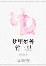 梦里梦外竹三里小说阅读