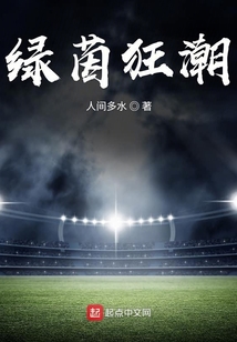 绿茵狂潮小说阅读