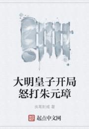 大明皇子开局怒打朱元璋小说阅读