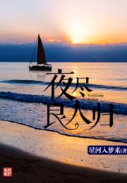 夜尽良人归小说阅读