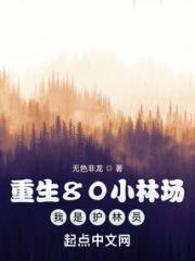 重生80小林场，我是护林员小说阅读