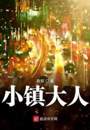 小镇大人小说阅读