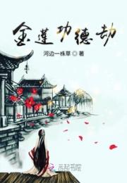 金莲功德劫小说阅读
