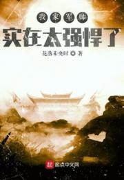 我家军师实在太强悍了小说阅读