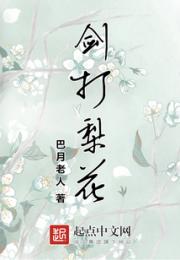 剑打梨花小说阅读