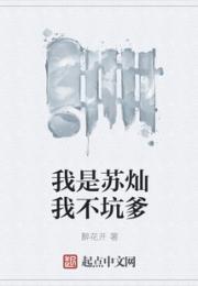 我是苏灿我不坑爹小说阅读