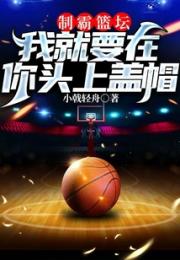 制霸篮坛：我就要在你头上盖帽小说阅读