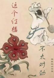 这个红楼不太对劲