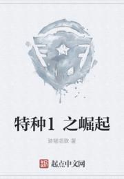 特种1之崛起小说阅读