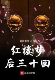 红楼梦惊小说阅读