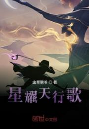 星耀天行歌之暗黑放逐小说阅读