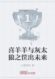 喜羊羊与灰太狼之筐出未来小说阅读