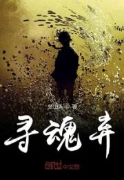 寻魂弃小说阅读