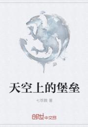 天空上的堡垒小说阅读